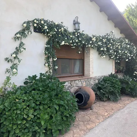 Picotas * Navaconcejo