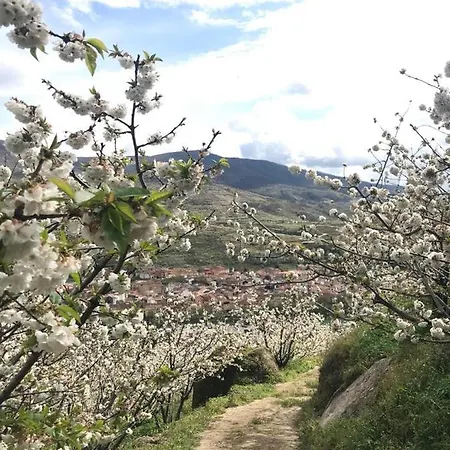 La Picotina Сasa de vacaciones Navaconcejo