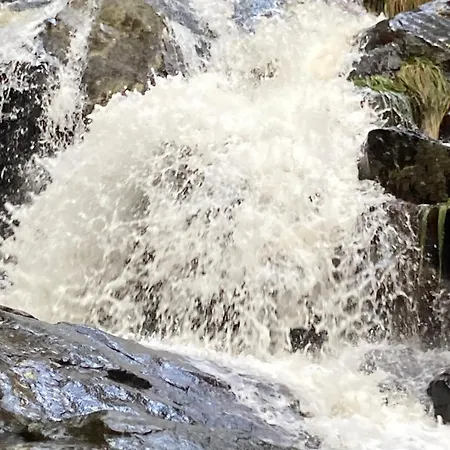 Picotas * Navaconcejo