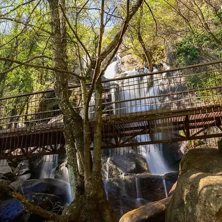 Дом отдыха Picotas