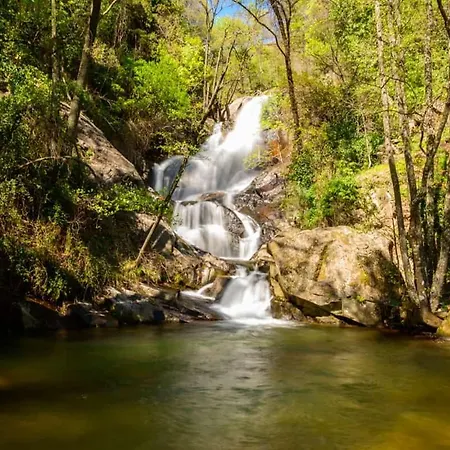 Holiday home Picotas