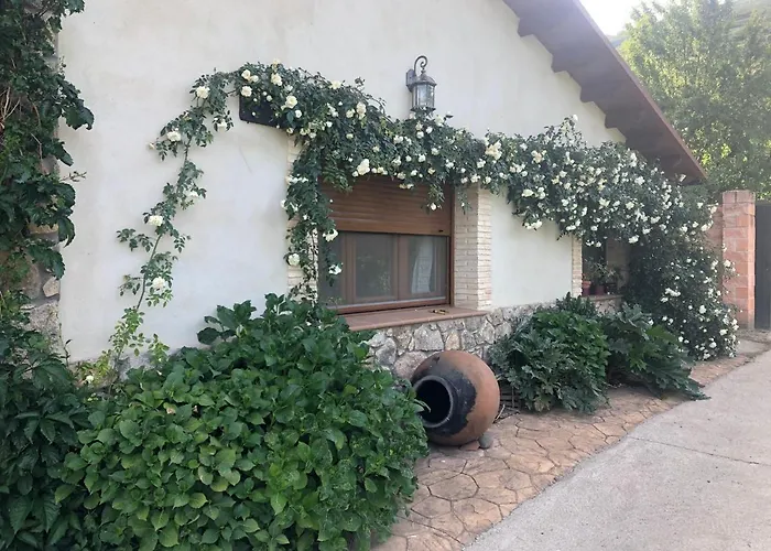 Picotas * Navaconcejo