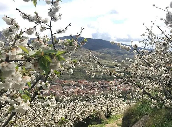 Picotas Vakantiehuis Navaconcejo