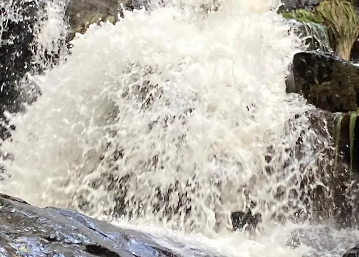 Picotas * Navaconcejo