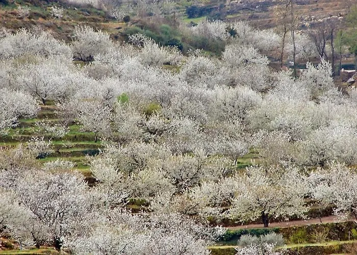 Picotas Prázdninový dům