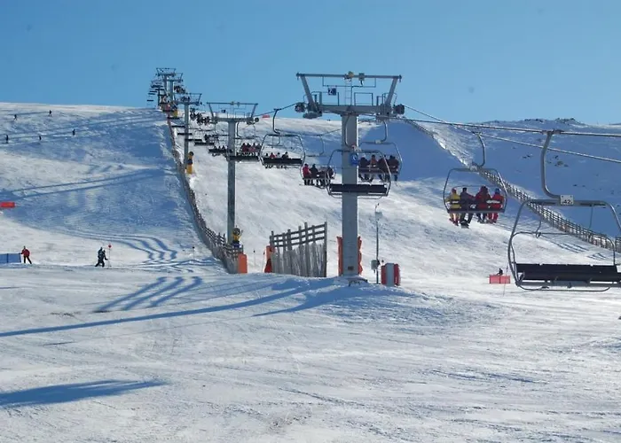 Picotas * Наваконсехо